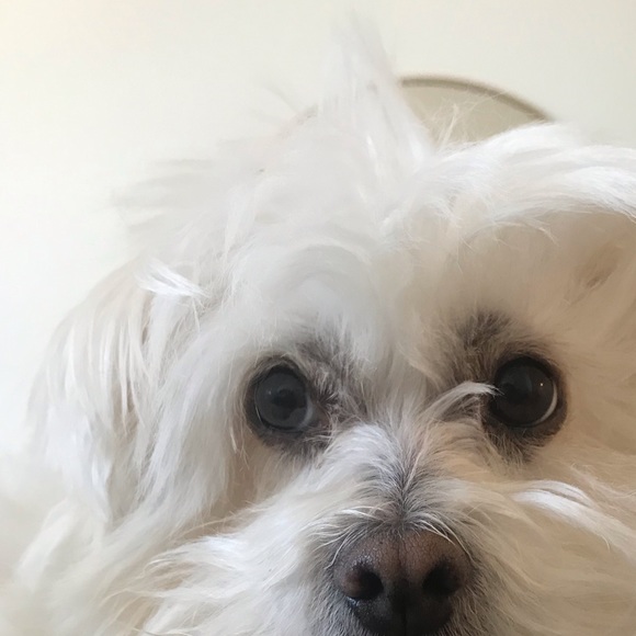 Meet your Posher, Jennifer - Picture 1 of 1